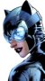 Catwoman Catwoman Comics Art Picture